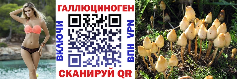Галлюциногенные грибы Magic Shrooms  купить закладку  Калининград 
