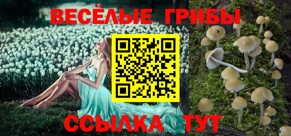 Галлюциногенные грибы мухоморы  Вход с VPN  Калининград 