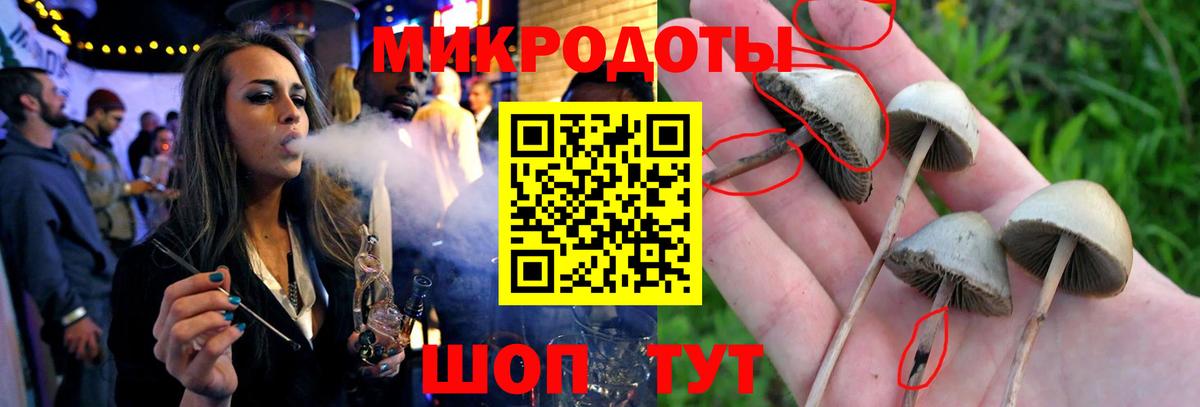 Галлюциногенные грибы GOLDEN TEACHER Калининград