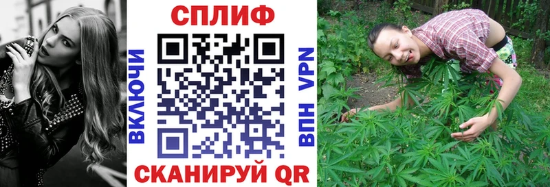 Конопля SATIVA & INDICA  Калининград 